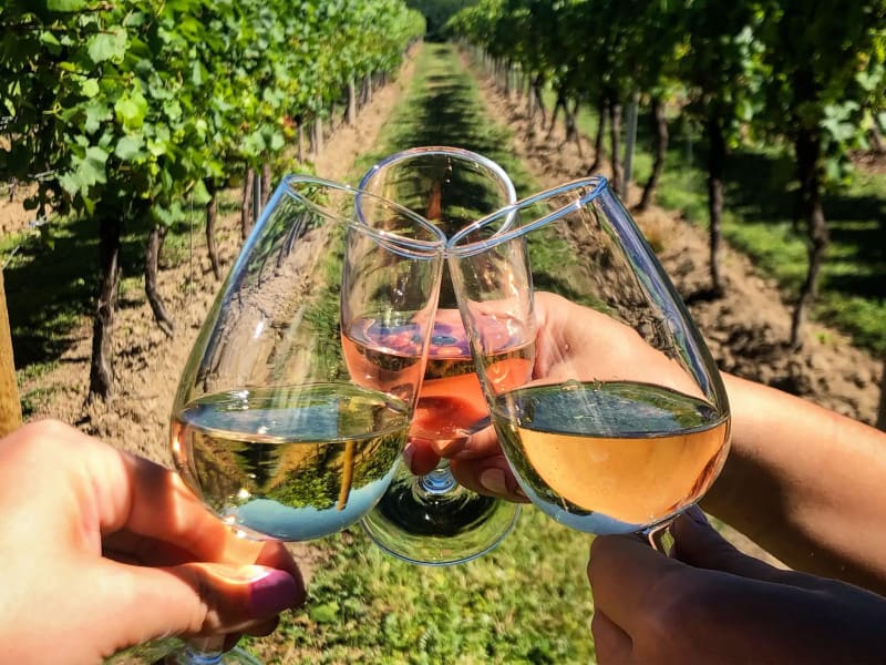 f23ae55a-8224-4c4c-a15d-cfe3959ca958