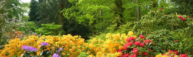 Doddington Place Gardens